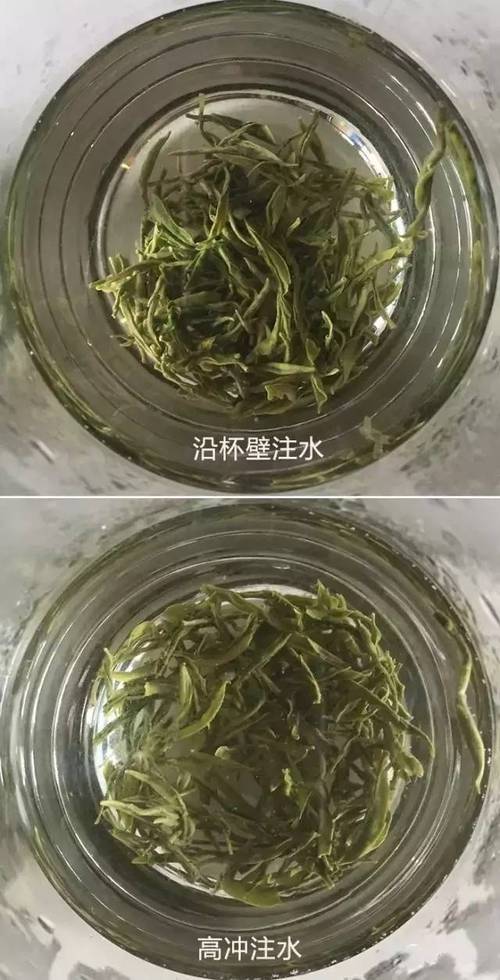 綠茶的沖泡時間
