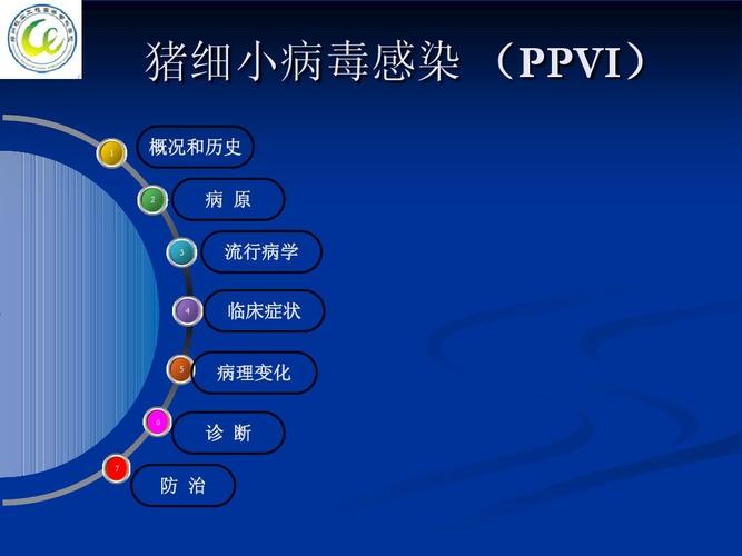 細小病毒的治療
