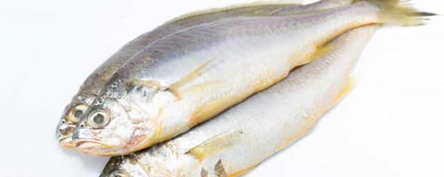 又薄又扁的魚是什么魚