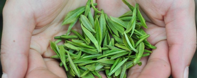 喝丫尖茶的好處