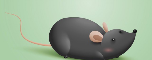 有老鼠怎么辦怎么去除