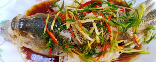 清蒸鱸魚的方法