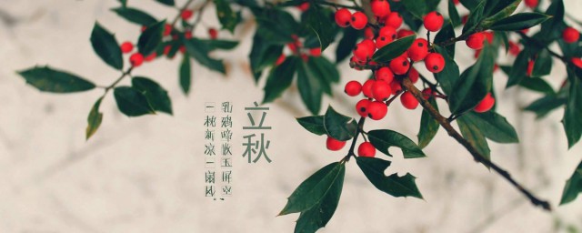 東北立秋吃什么