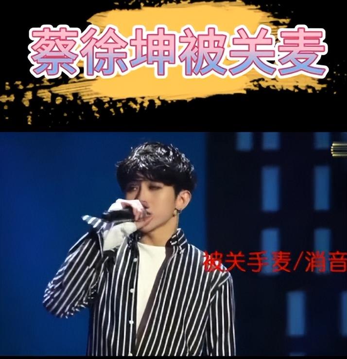 nba形象代言人蔡徐坤（蔡徐坤：手撕黑幕戰勝資本，卻因“打籃球”被全網黑，他經歷了啥）