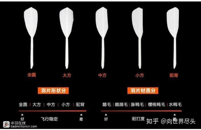 威克多哪款羽毛球貴（羽毛球！你憑啥這么貴？作者為你分析推薦實惠（我不是帶貨的））