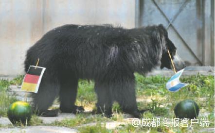 世界杯劃地術（世界杯官方“預言官”已上線，各路“大神”誰的神通更逆天？）