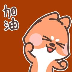 四川足球張力（入省隊 戰(zhàn)全運！雁江這倆“足球小子”未來可期）