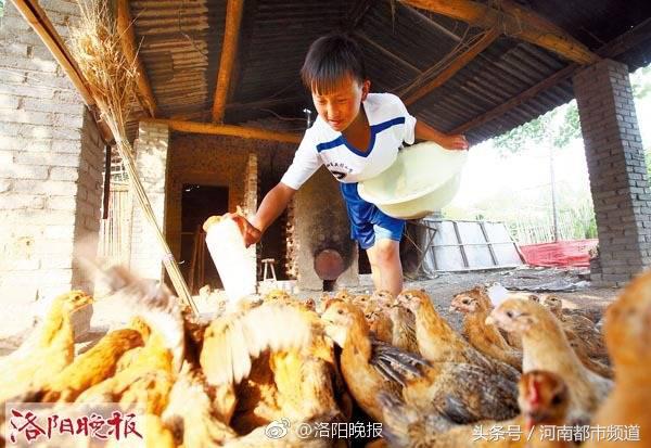 廢籃球可以做什么（洛陽貧困戶用飼料桶圈兒做成籃球筐，圓兒子的籃球夢！）