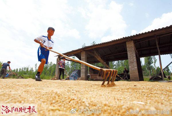 廢籃球可以做什么（洛陽貧困戶用飼料桶圈兒做成籃球筐，圓兒子的籃球夢！）