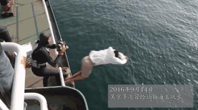 北京冬奧會火炬手（受主流認(rèn)可、當(dāng)冬奧會火炬手的8位明星，各個有實力，備受認(rèn)可）
