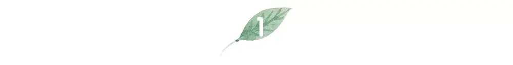 張繼科暗示劉詩雯（張繼科：“劉詩雯，我好像真的錯過你了”）