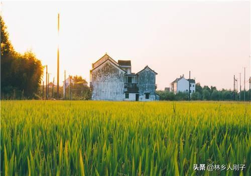 一個足球場等于幾畝地（農村一畝地等于多少平方米？簡單換算方法，你會了嗎？）