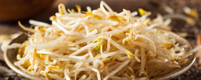 種豆芽怎么種