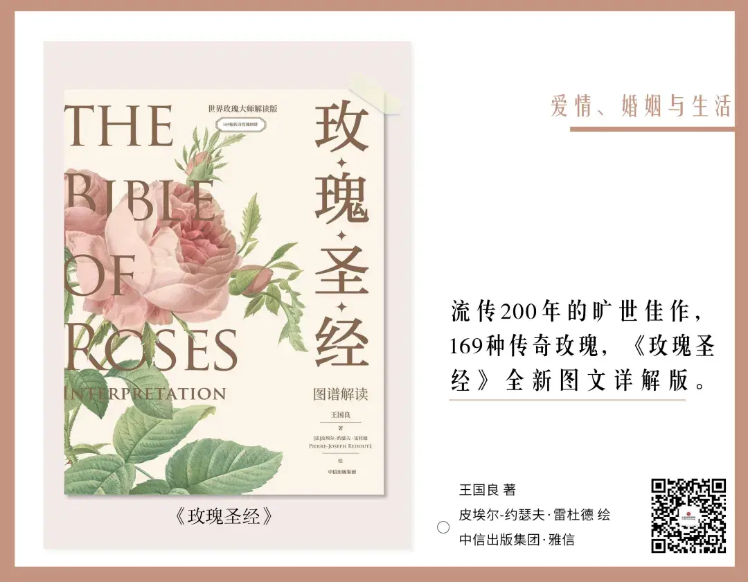 關于婚姻的書籍推薦（情人節書單｜15本書，帶你重新認識愛情、婚姻和幸福）