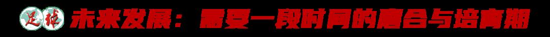 足球u19是什么意思（中國青少年足球聯(lián)賽正式落地：初中組是關(guān)鍵！現(xiàn)在和未來的難點在哪？）