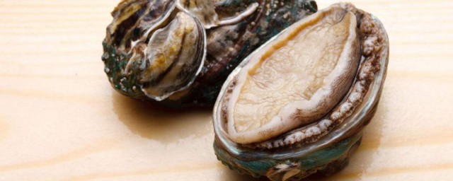 九頭鮑魚是什么意思