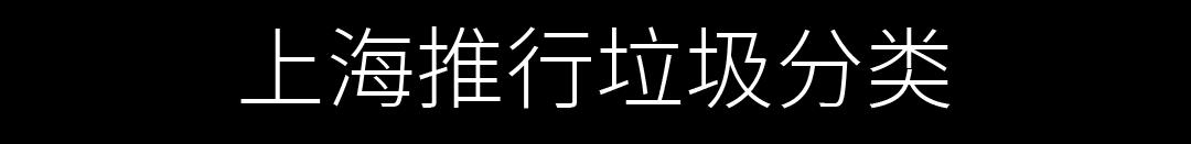 成功衛冕2019女排世界杯冠軍（想見你，2019的廣州）