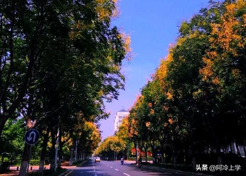 維奇是條黑黃雙色犬（《失重的榮譽》警犬維奇爭名奪利，做錯事會心虛，你想錯了）
