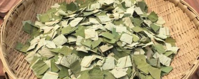 荷葉茶為什么是苦的
