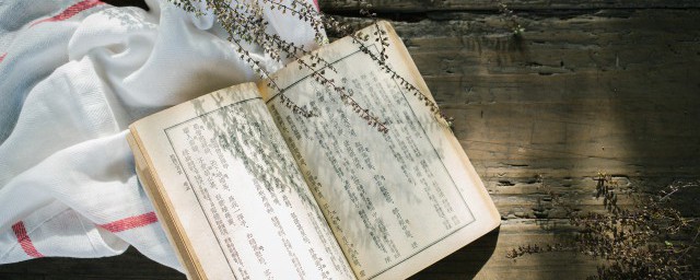 故劍情深是什么意思