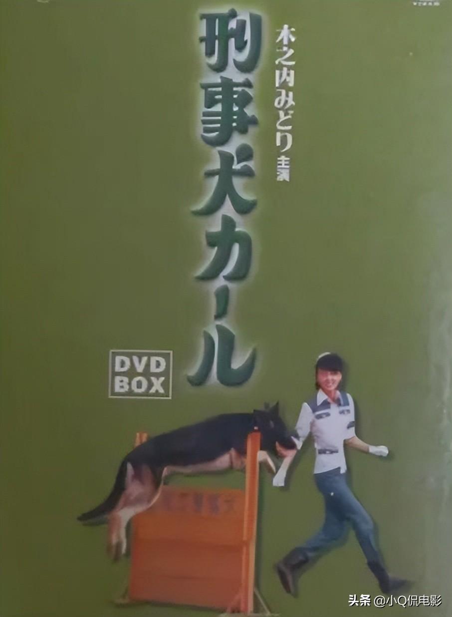 排球女將國語免費（早期國內引進最成功的10部經典劇，看過3部以上的就暴露年齡了）