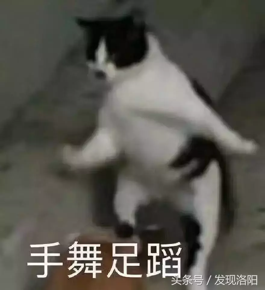 洛陽哪個燒烤能看世界杯（嚷嚷著減肥不吃飯的人，終會相遇在深夜洛陽的這些燒烤攤！）