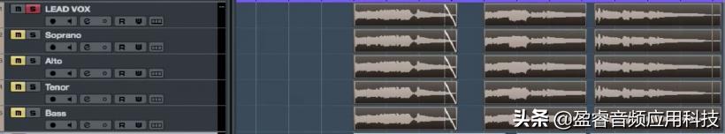 cubase10.5人聲修正（「宿主軟件」Cubase Pro 音頻編輯篇之人聲音高修正）