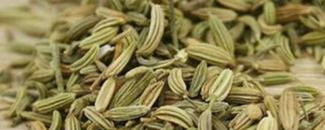 做什么菜適合放小茴香