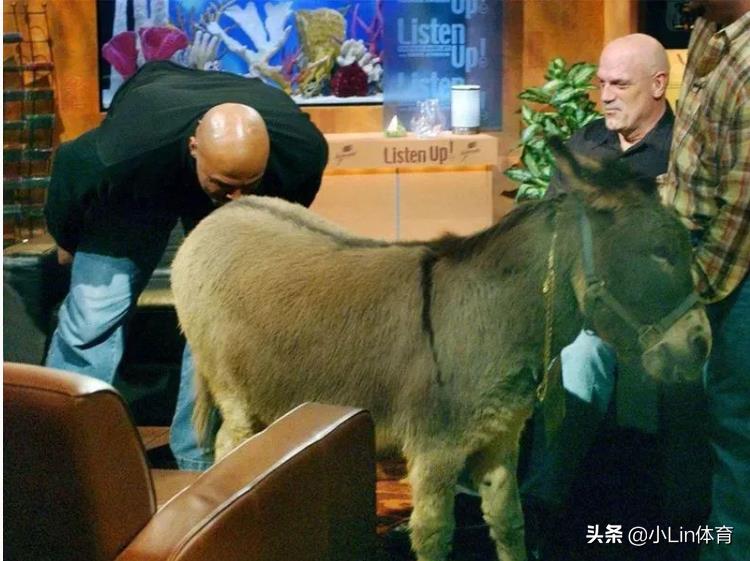 姚明經典比賽（姚明生涯中的這些經典比賽，你還記得它們嗎？）