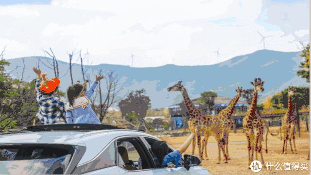 湖州滑雪場門票多少錢（被低估的江南寶藏，旅游價值洼地 - 湖州旅游攻略）