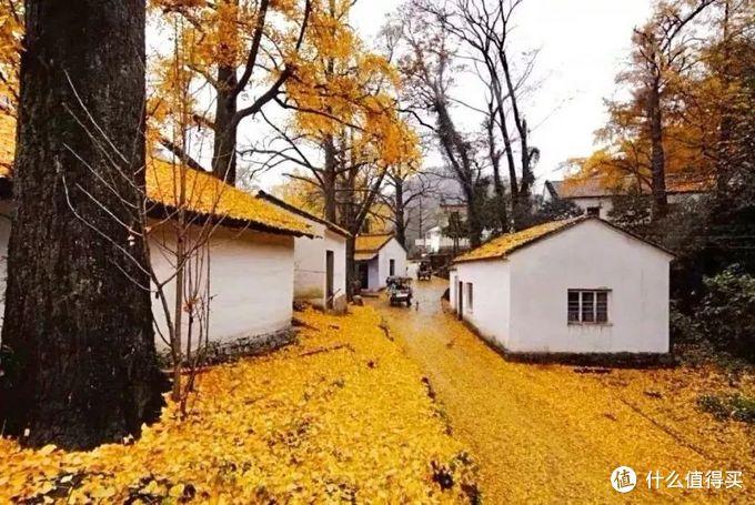 湖州滑雪場門票多少錢（被低估的江南寶藏，旅游價值洼地 - 湖州旅游攻略）