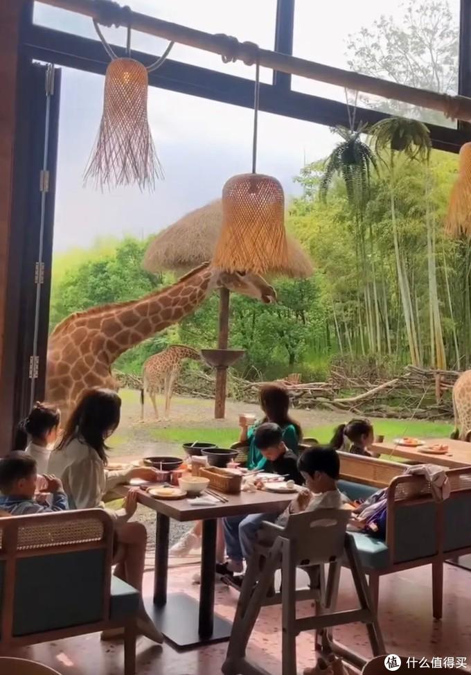 湖州滑雪場門票多少錢（被低估的江南寶藏，旅游價值洼地 - 湖州旅游攻略）