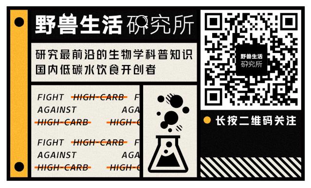 為什么nba不吃碳水化合物（詹姆斯、科比等NBA球星都使用過的健身方法....你要不要學一下？）
