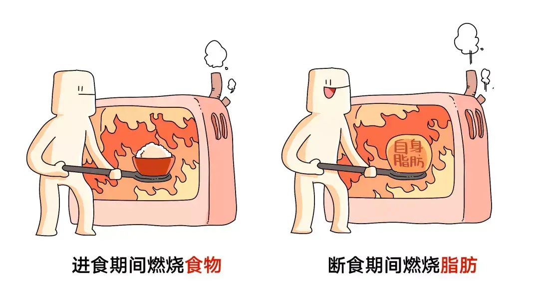 為什么nba不吃碳水化合物（詹姆斯、科比等NBA球星都使用過的健身方法....你要不要學一下？）