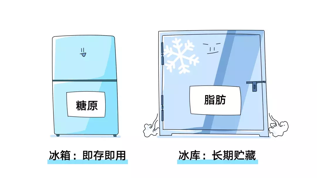 為什么nba不吃碳水化合物（詹姆斯、科比等NBA球星都使用過的健身方法....你要不要學一下？）