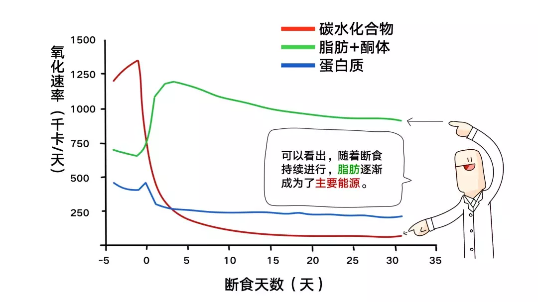 為什么nba不吃碳水化合物（詹姆斯、科比等NBA球星都使用過的健身方法....你要不要學一下？）
