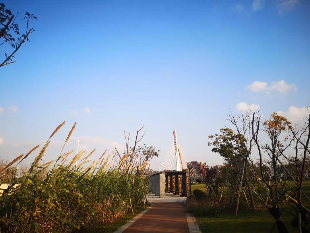 象山縣室內網球場（象山新增一批觀景平臺、公園、綠道！不僅美，還能健身！）
