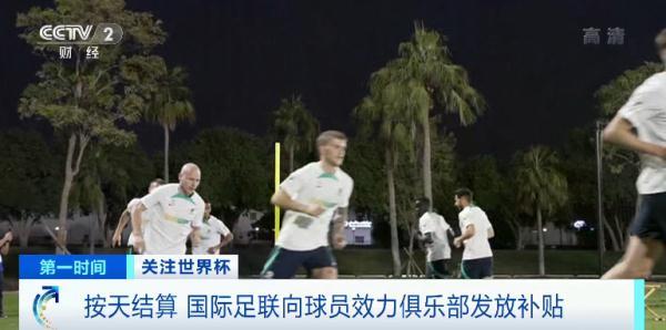世界杯第幾界了（這屆世界杯，獎金創(chuàng)紀(jì)錄）
