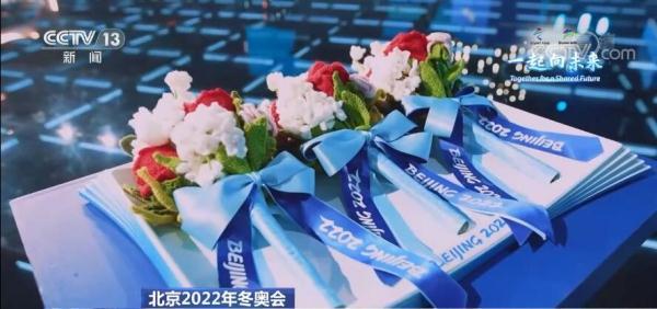 介紹一個冬奧會比賽項目（這是一場簡約、安全、精彩的冬奧盛會）