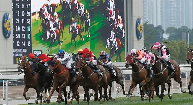 香港賽馬協會（高層年薪高過港大校長的香港賽馬會，到底是個什么機構？）