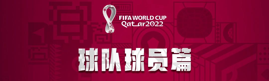 上屆世界杯籃球冠軍是誰（世界杯球迷速成秘籍，看這一篇就夠了）