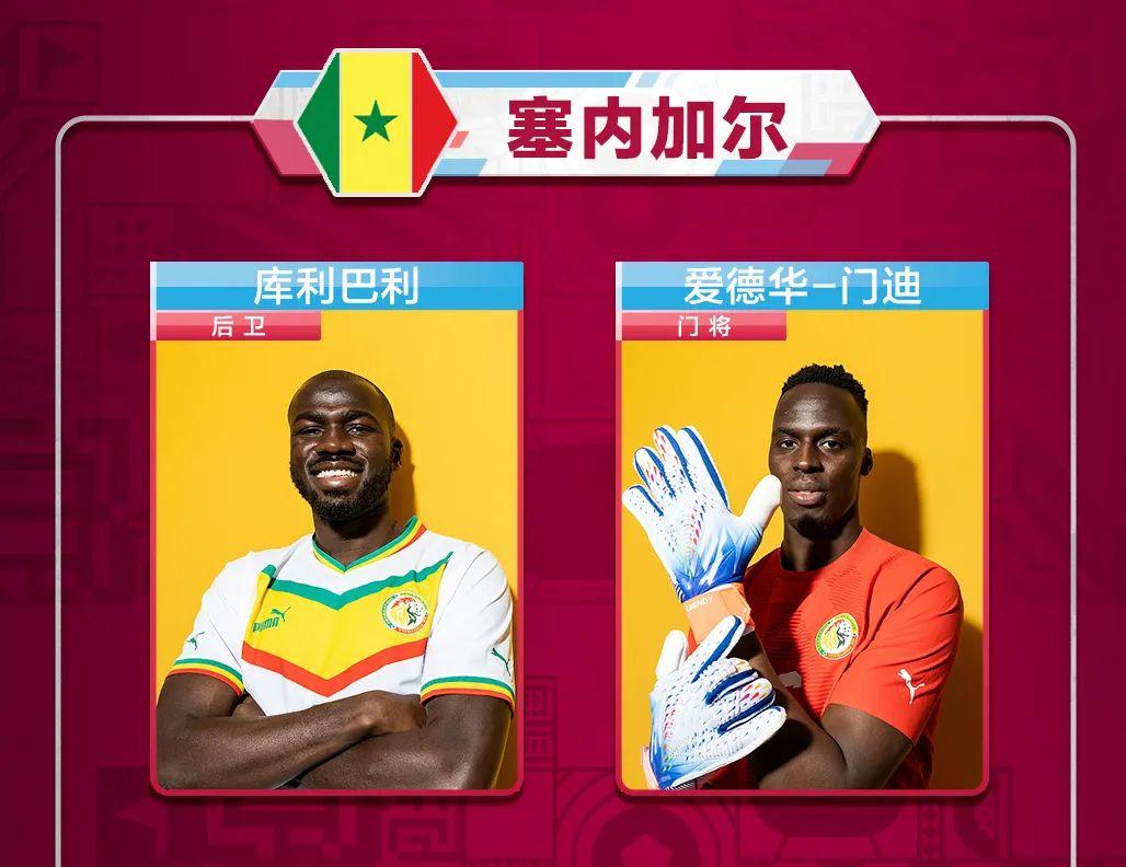 上屆世界杯籃球冠軍是誰（世界杯球迷速成秘籍，看這一篇就夠了）