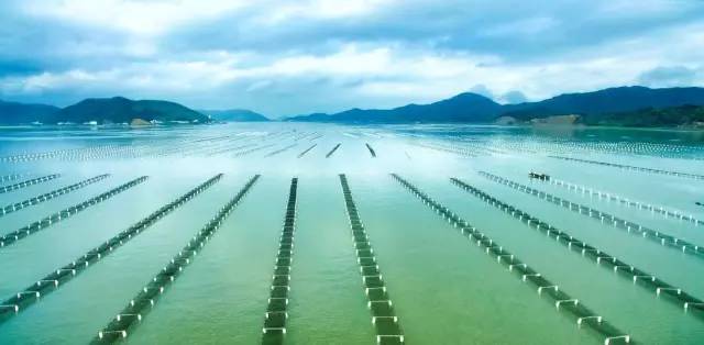 象山縣室內網球場（象山五一旅游全攻略！吃喝玩樂、交通提醒，統(tǒng)統(tǒng)都有！）