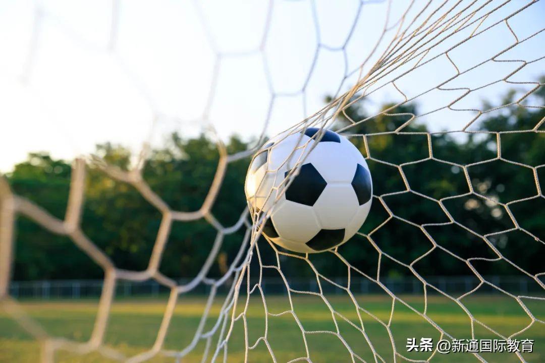 法國世界杯歷史戰績（細數法國在世界杯歷史上的戰績）
