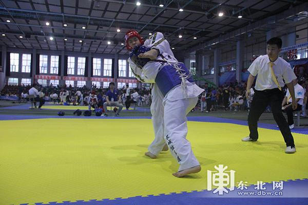 跆拳道五大項是什么（2018黑龍江省大眾跆拳道精英賽在哈爾濱落幕）