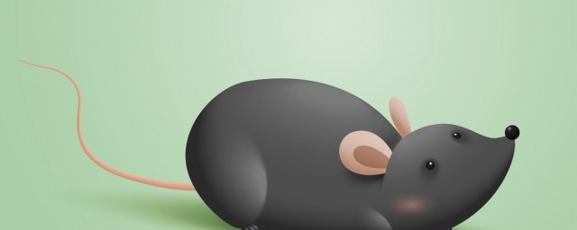 怎樣抓老鼠最妙招最快