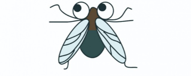 人類(lèi)根據(jù)蒼蠅發(fā)明了什么