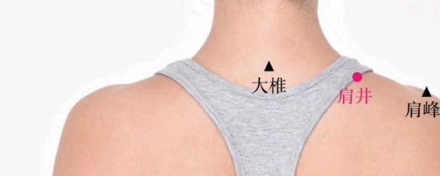 肩井的正確找法