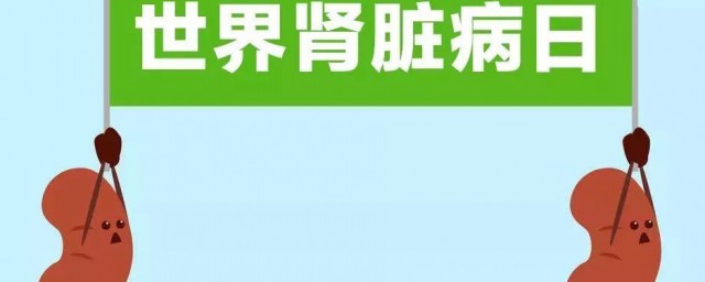 怎樣保護腎臟健康